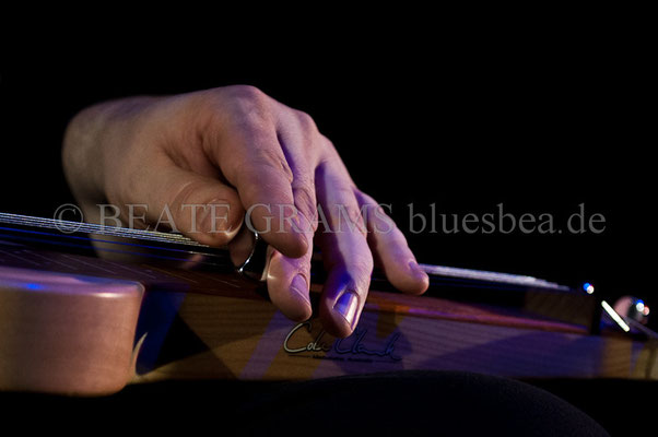 Michael van Merwyk & Bluesoul - Januar 2014, Savoy Bordesholm
