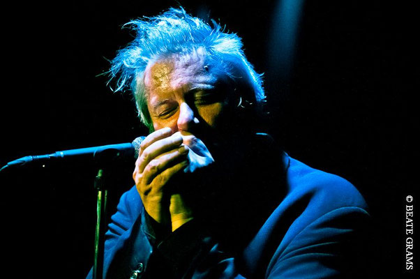 Marc Breitfelder