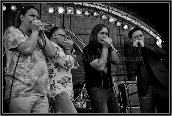 Harpcore - 24. BluesBaltica/Bluesfestival Eutin 2013