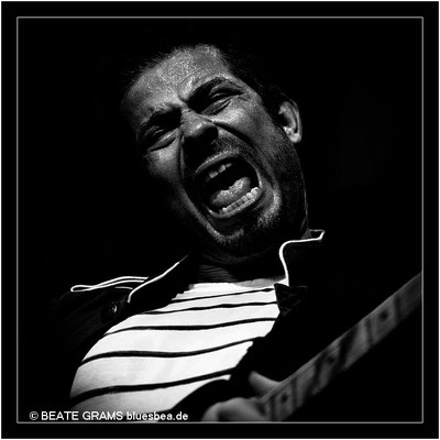 Timo Gross Band, German Blues Challenge/German Blues Awards