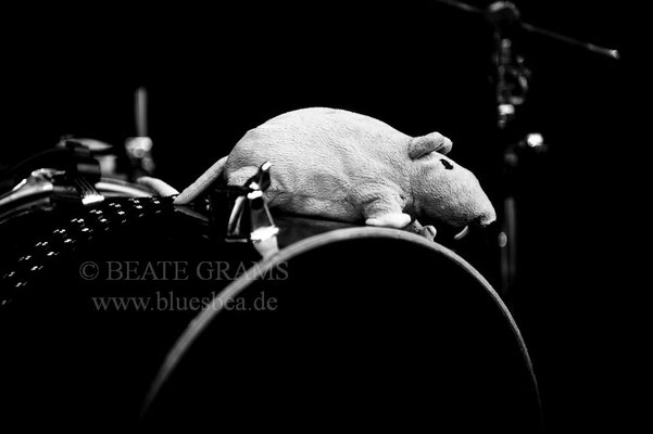 Dani Dorchin - BluesBalticaEutin 2016