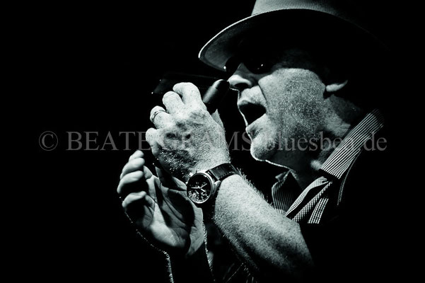 Red Fox Bluesband, German Blues Challenge & German Blues Awards