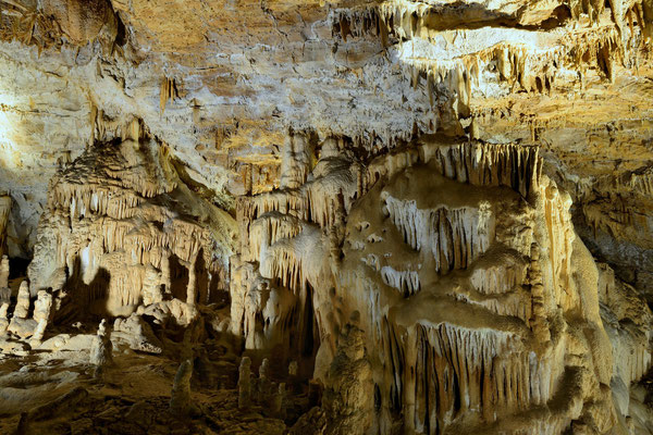 Grottes des Moidons; Französischer Jura; près Arbois; Juni 2015