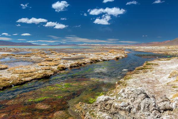 Salar de Chalviri mit den heissen Qellen von Polques im Vordergrund