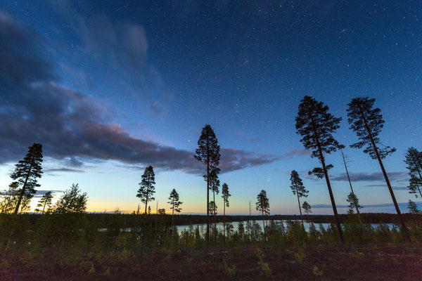 Der boreale Wald Finnlands legt sich schlafen