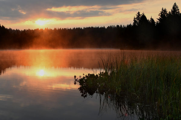 Etang dela Gruère; 11. September 2016