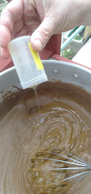 atelier peinture au naturel / DOC Nature/ Somme 