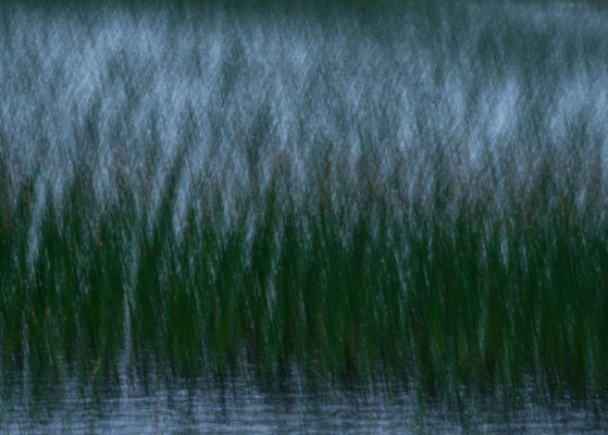 Camera Movement (1)