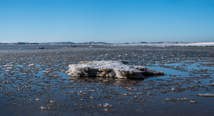 Eisscholle im Watt