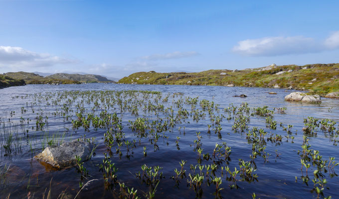 Along the golden Road, Isle of Harris
