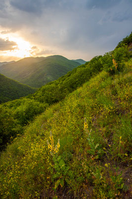 Low mountain sunset - Georgia