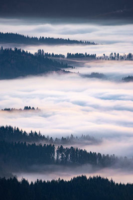 Inversion - Northern Black Forest