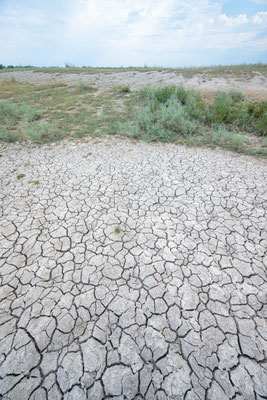 Dried out pond