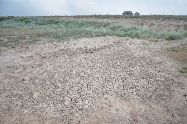 Dried out pond