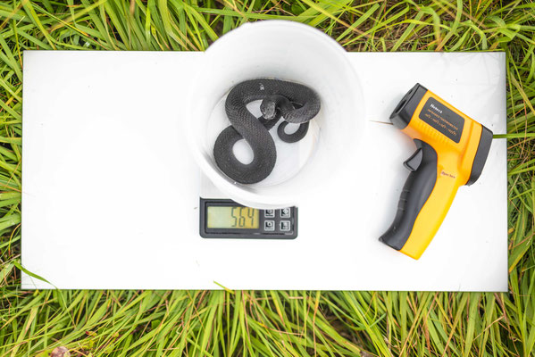 Sampling equipment