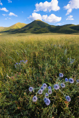 Koktau mountains - Kazakhstan