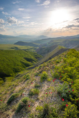 Sandy steppe - Georgia