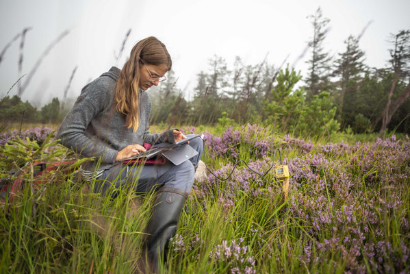 Judith reading out a datalogger