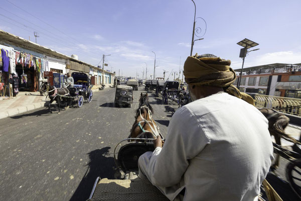 Ägypten, Pferde ziehen einachsige Kutschen vom nilhafen zum Etfutempel. Zum Teil im Galopp auf asphaltierten Strassen!!!