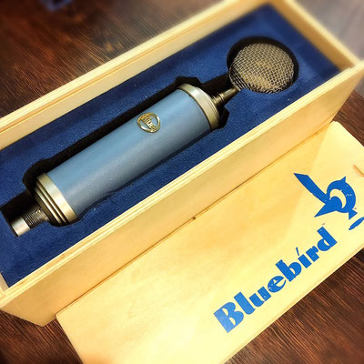 Blue Microphones / BLUEBIRD  ￥220/h  
