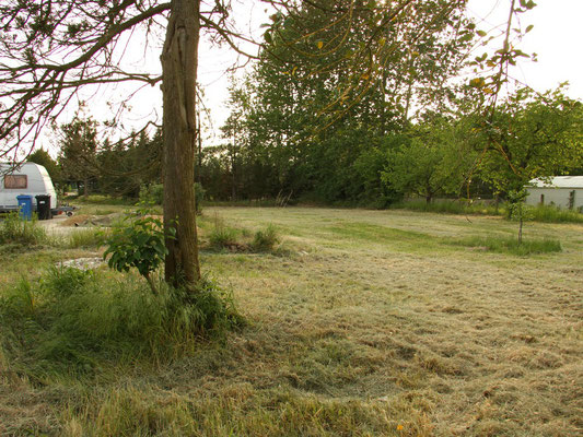 Kahlschlag im Garten II
