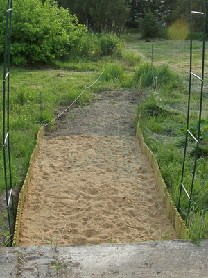 Wegbereitung
