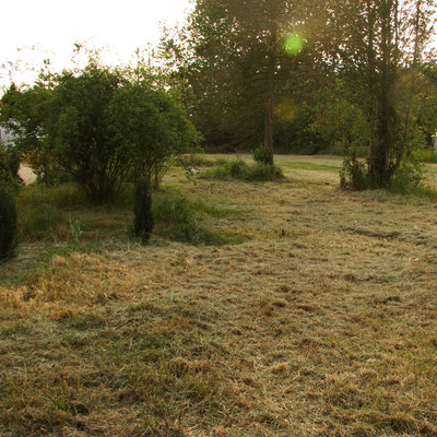 Kahlschlag im Garten