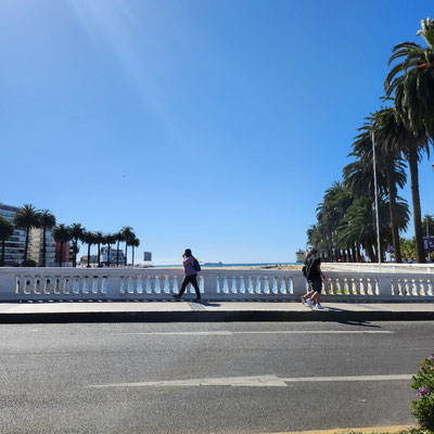 Viña del mar