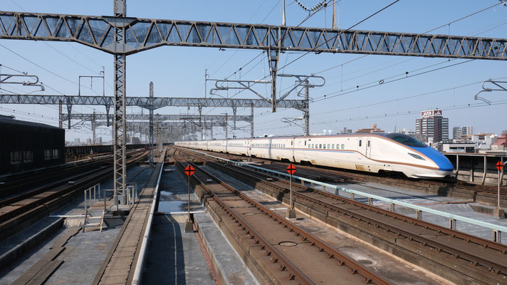 大宮駅の新幹線E7(F12), Shinkansen E7, Formation F12 in Omiya von Ingo Weidler