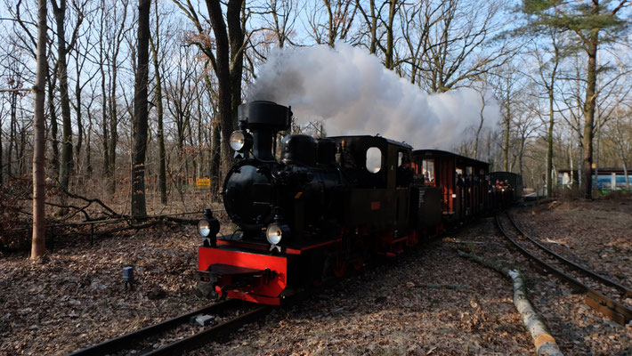 Dampflok "Luise", Berlin Wuhlheide, 2018, Ingo Weidler