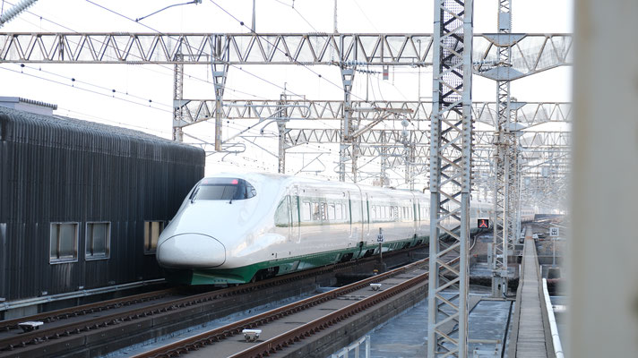 大宮駅の新幹線E2(J66), Shinkansen E2, Formation J66 in Omiya von Ingo Weidler