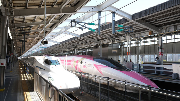 新大阪駅の新幹線500(V2)そして新幹線N700S(J6), Shinkansen 500 (V2) "Hello-Kitty" und N700Supreme (J6) in Shin-Osaka von Ingo Weidler