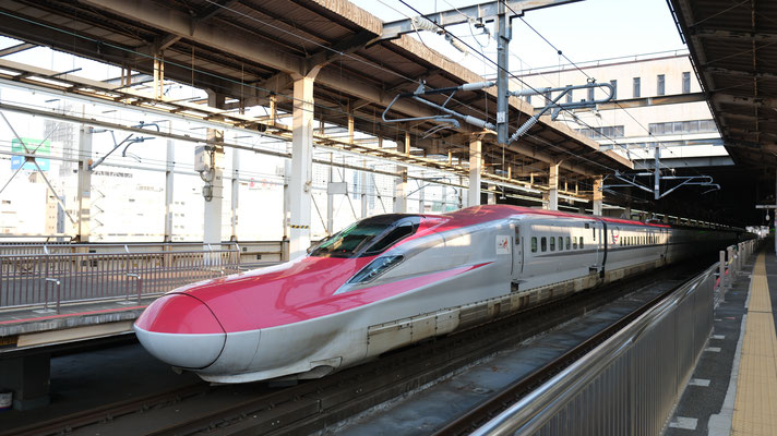 大宮駅の新幹線E6(Z21), Shinkansen E6, Formation Z21 in Omiya von Ingo Weidler