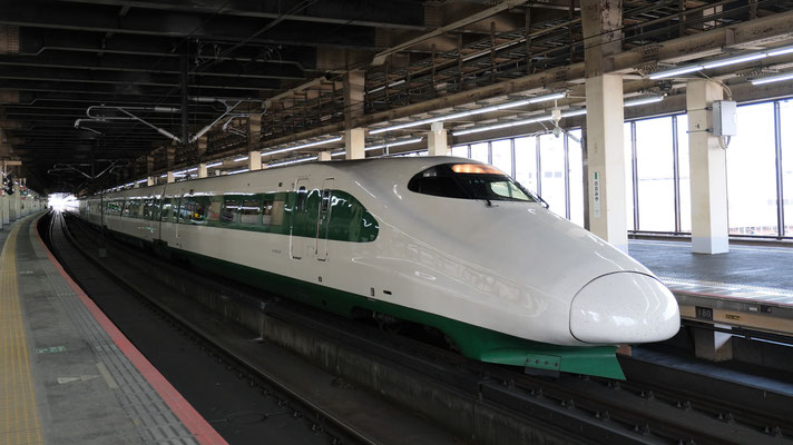 大宮駅の新幹線E2(J66), Shinkansen E2, Formation J66 in Omiya von Ingo Weidler