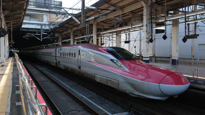 大宮駅の新幹線E6(Z23), Shinkansen E6, Formation Z23 in Omiya von Ingo Weidler