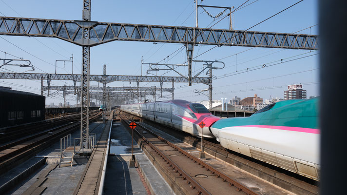 大宮駅の新幹線E6(Z), Shinkansen E6, Formation Z in Omiya von Ingo Weidler