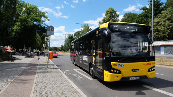 Citea nr. 2416, Berlin Wannsee, Juni 2018, Ingo Weidler