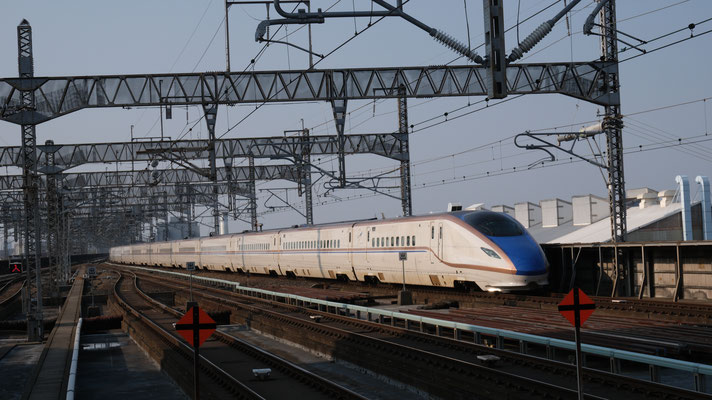 大宮駅の新幹線E7(F36), Shinkansen E7, Formation F36 in Omiya von Ingo Weidler