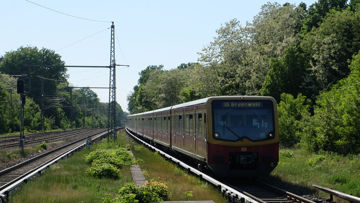 BR 481, Potsdam Griebnitzsee, Mai 2018, Ingo Weidler