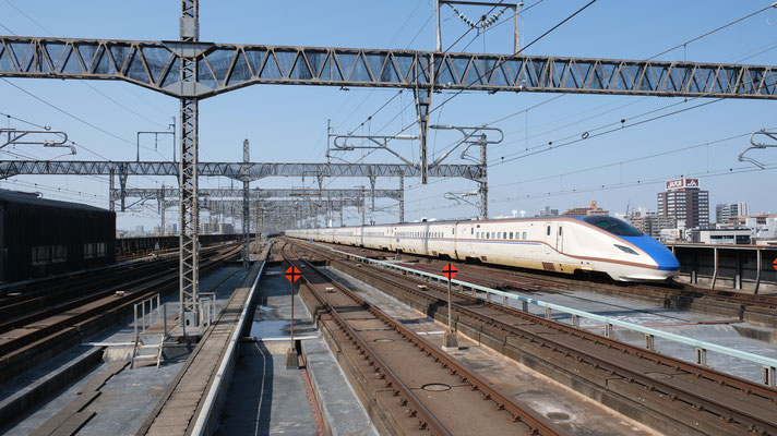 大宮駅の新幹線E7(F22), Shinkansen E7, Formation F22 in Omiya von Ingo Weidler