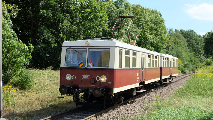 279 005, Müncheberg, August 2018, Ingo Weidler