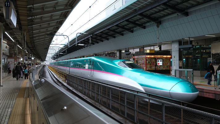 東京駅の新幹線E5(U20), Shinkansen E5, Formation U20 in Tokyo von Ingo Weidler
