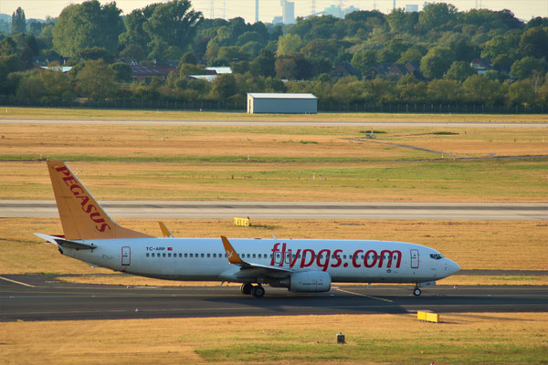 Boeing 737-800 Winglet Fly Pegasus ( flypgs), Düsseldorf, 11.08.2018, Steve Baaß