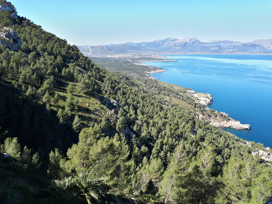 Halbinsel La Victoria, Blick in die Bucht von Pollença