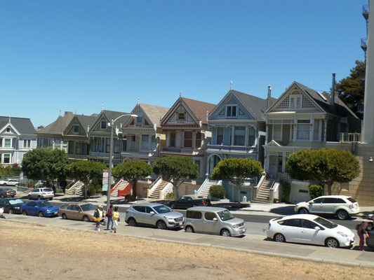 Painted Ladies