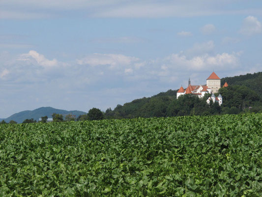 Schloss von Wörth a.d. Donau, Foto: Michael Körner