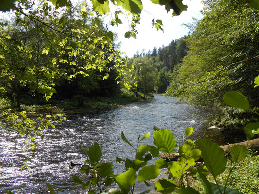 Die Ilz bei Hals/Passau © Stadt Passau