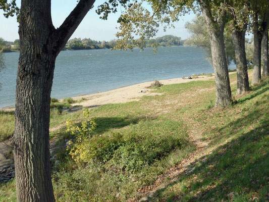 Donaustrand am Donau-Panoramaweg, Foto: Michael Körner