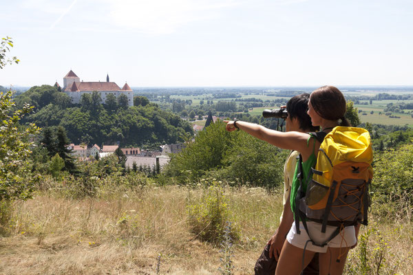 Blick von der Lerchenhaube auf das Schloss Wörth, Foto: Stefan Gruber