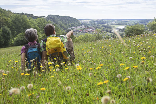 Die DonauPforten-Erlebniswege bieten vielfältige Einblicke in Flora und Fauna entlang der Donau.© Tourismusverband im Landkreis Kelheim e.V., Fotograf Stefan Gruber